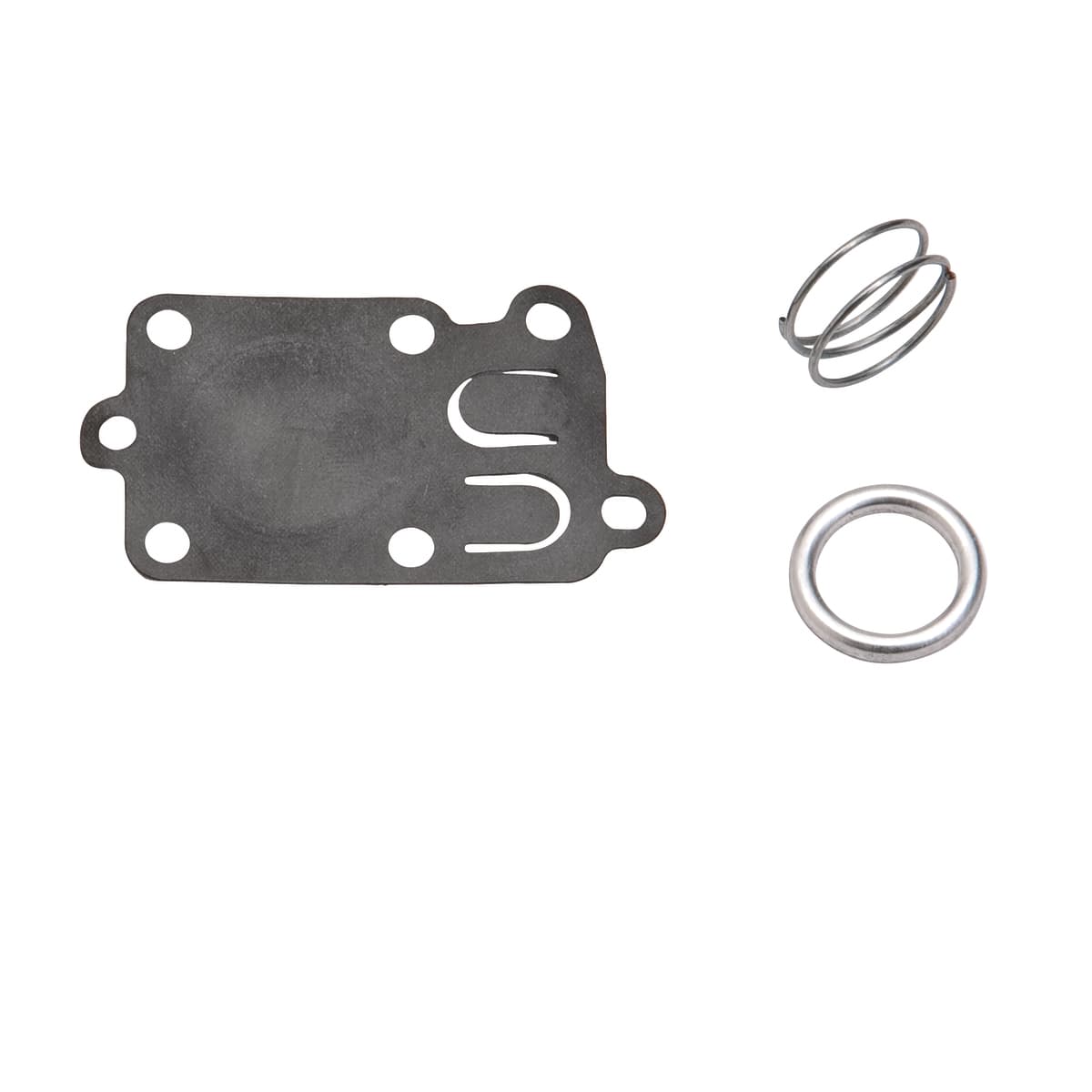 49-037 DIAPH KIT - BRIGGS