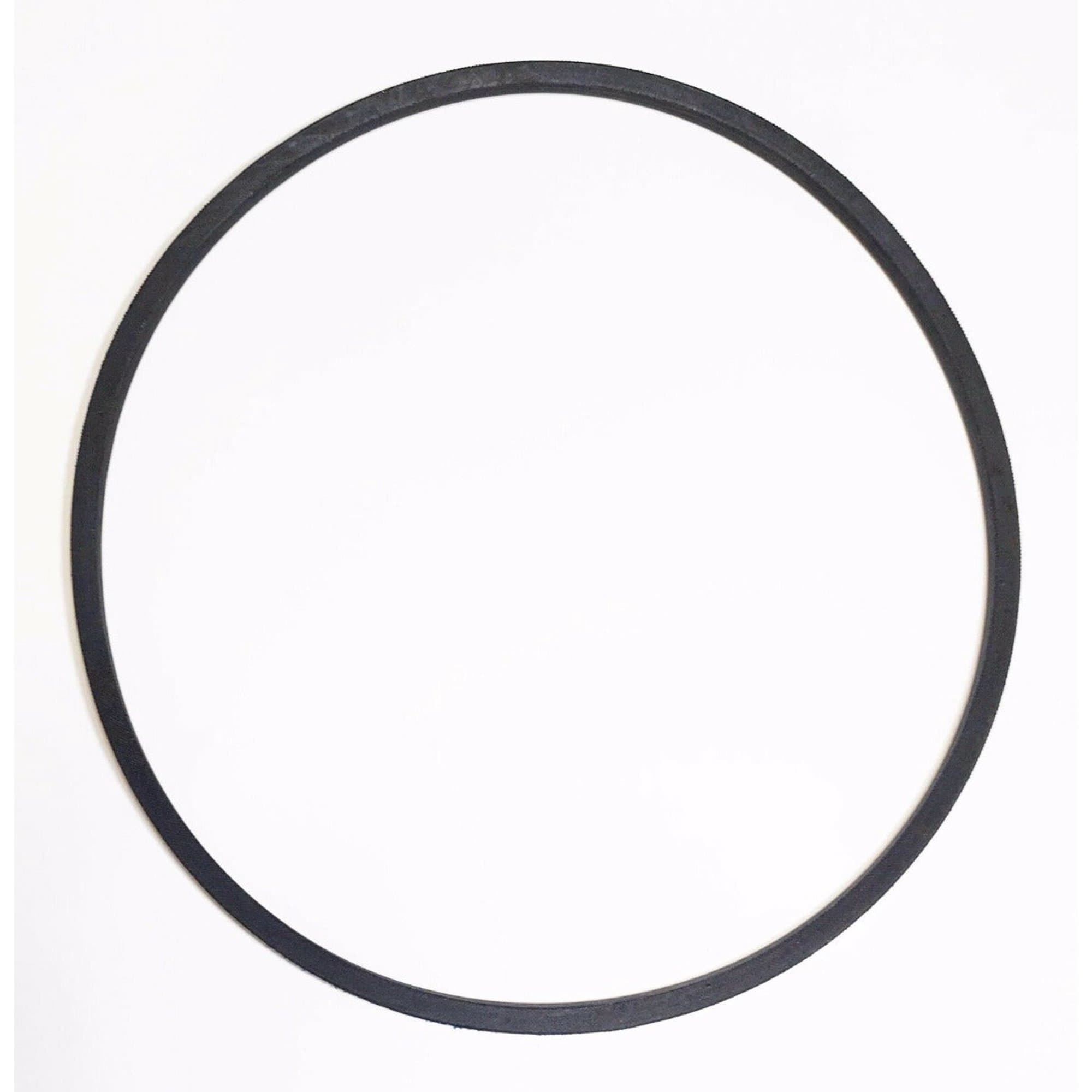 1674308SM V-BELT 3L 034.75 5