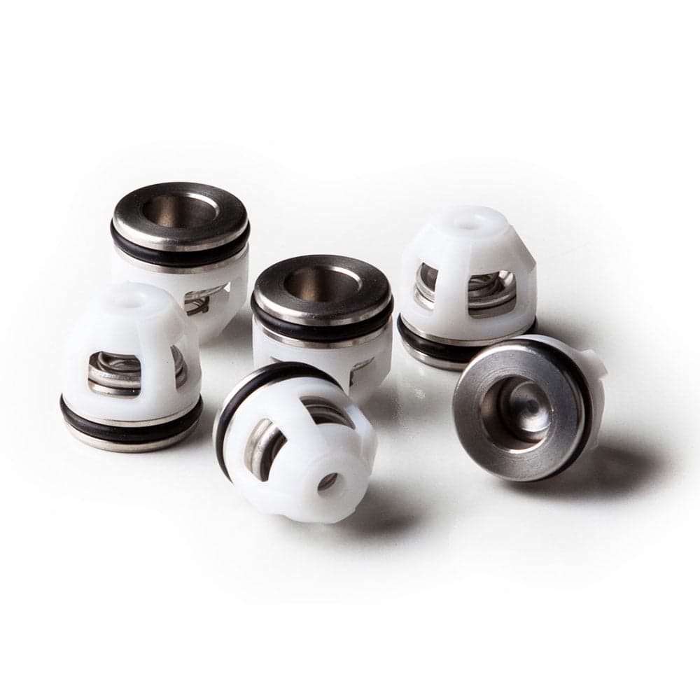 198843GS KIT-CHECK VALVE
