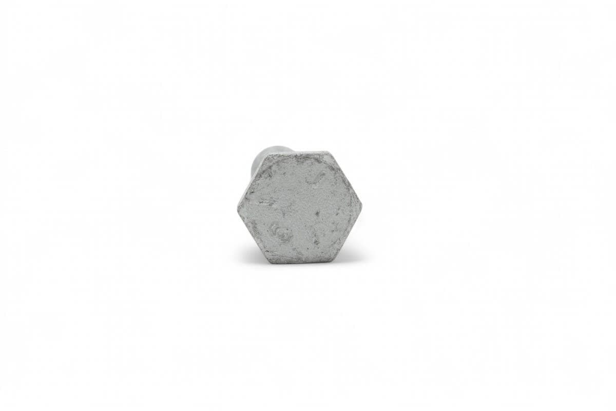 Screw Hex Cap