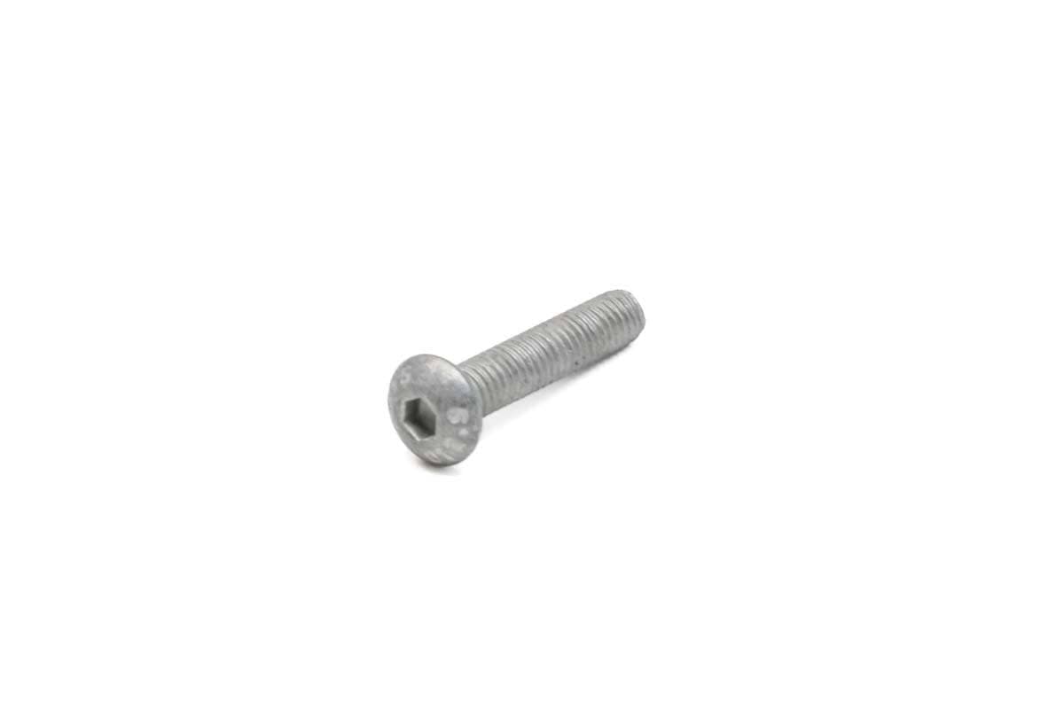 Screw Button Head