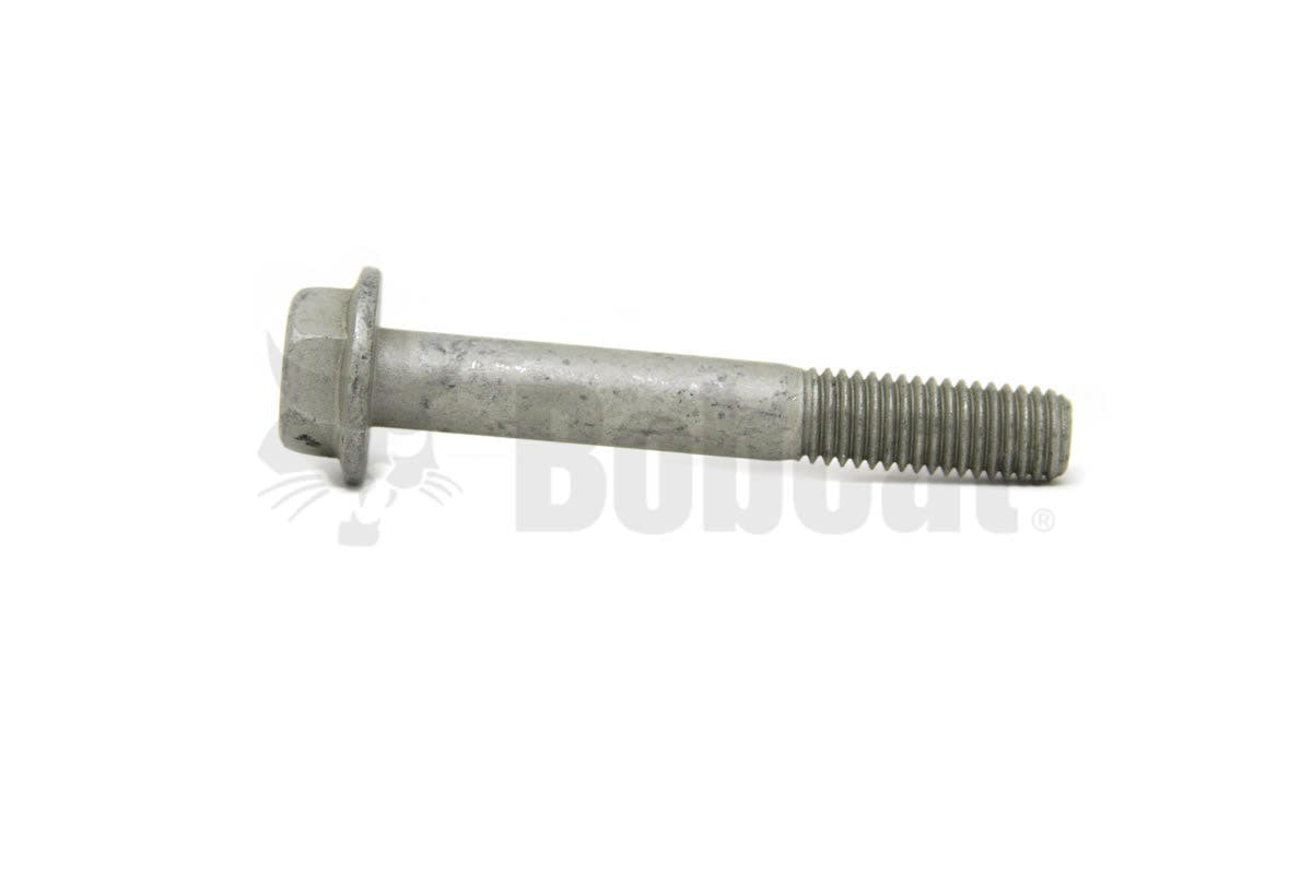 Screw Hex Cap Flg Hd
