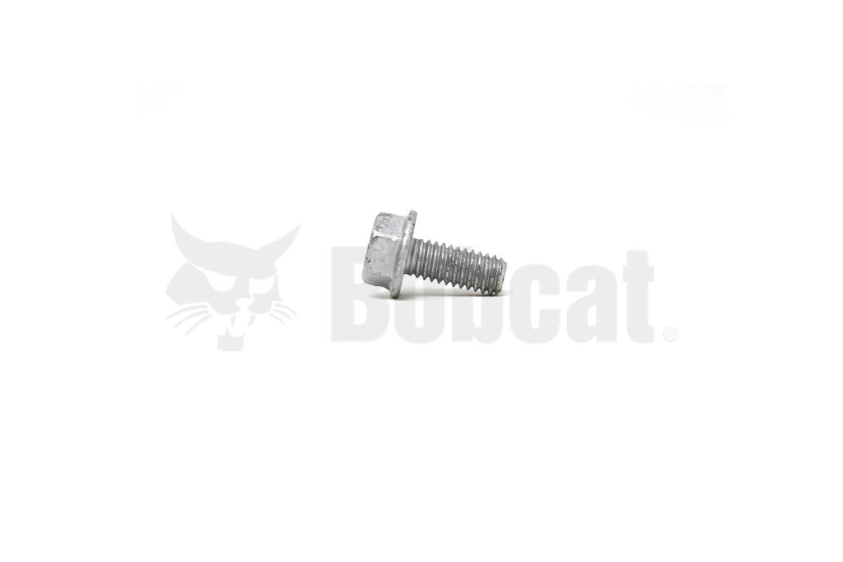 Screw Flgd Hex Cap