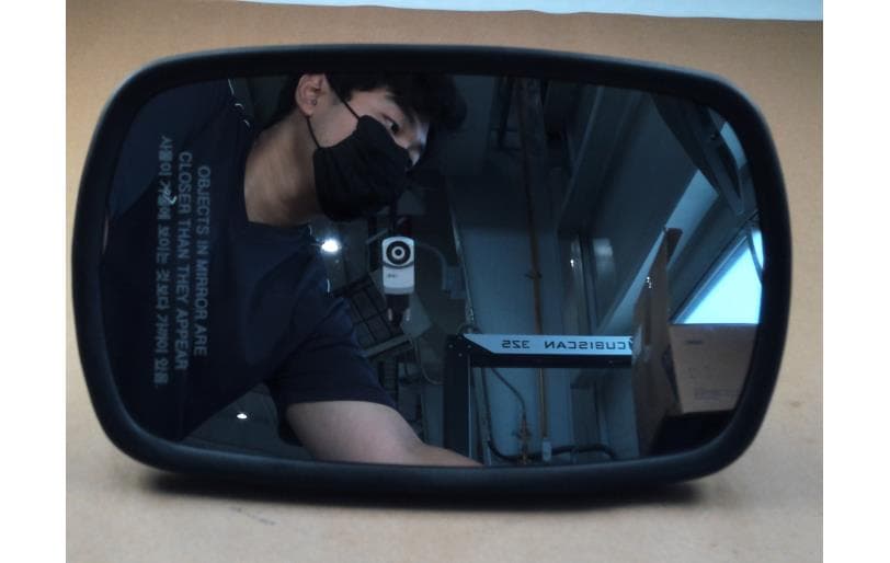 Mirror Assembly Back