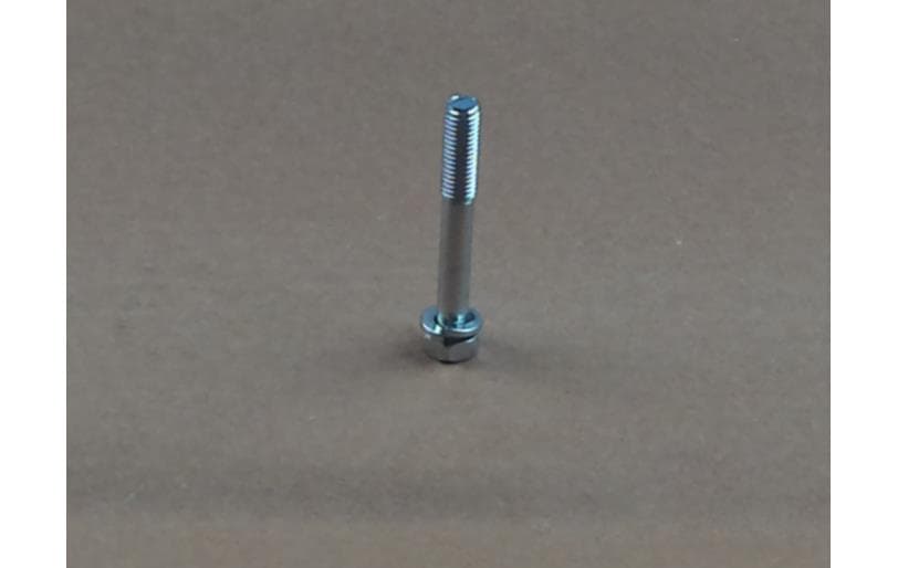 Bolt Hex W/ws