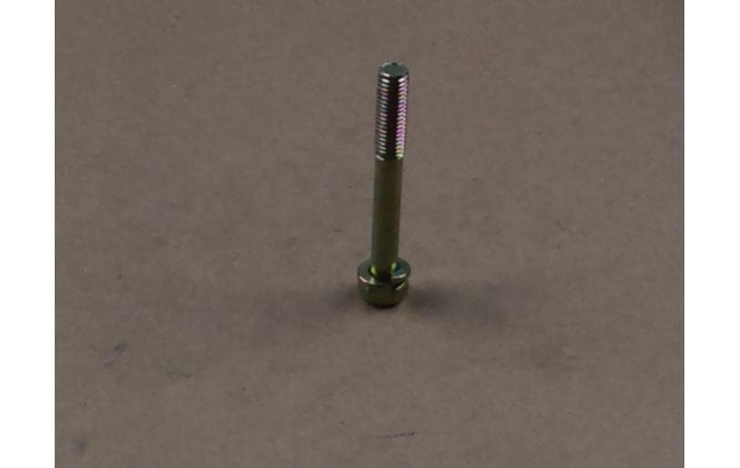 Bolt Hex W/ws