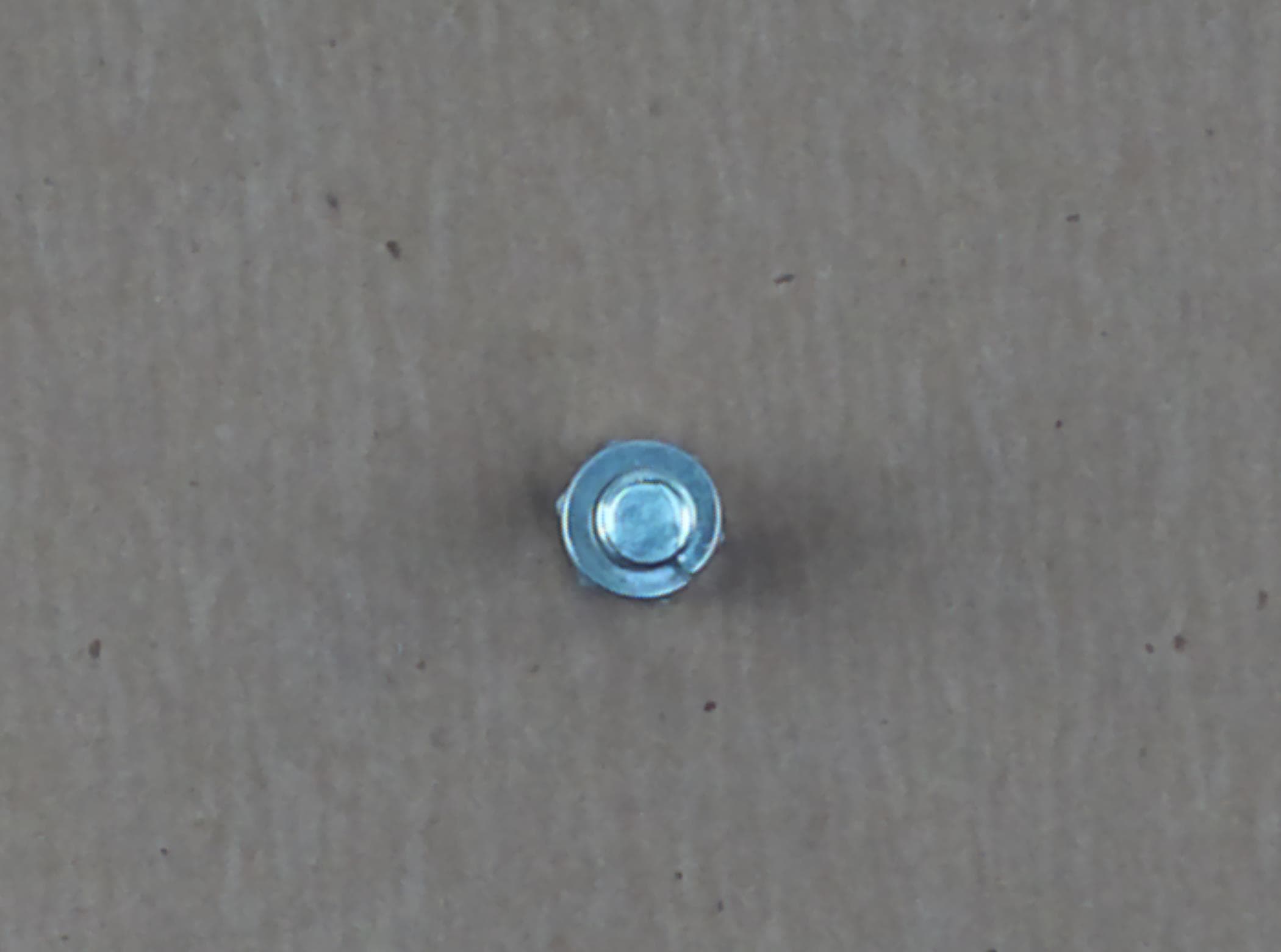 Bolt Hex W/ws