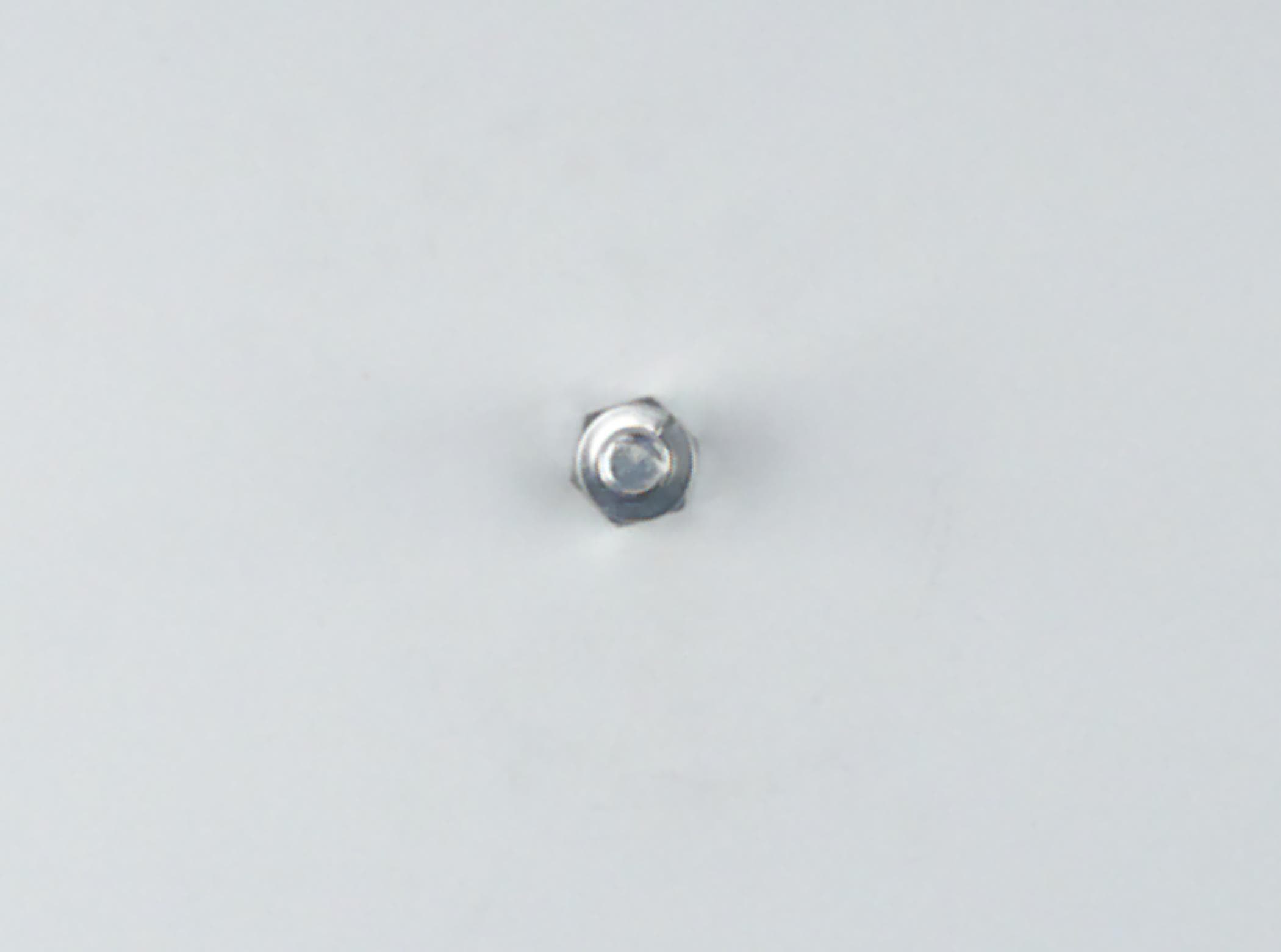 Bolt Hex W/ws