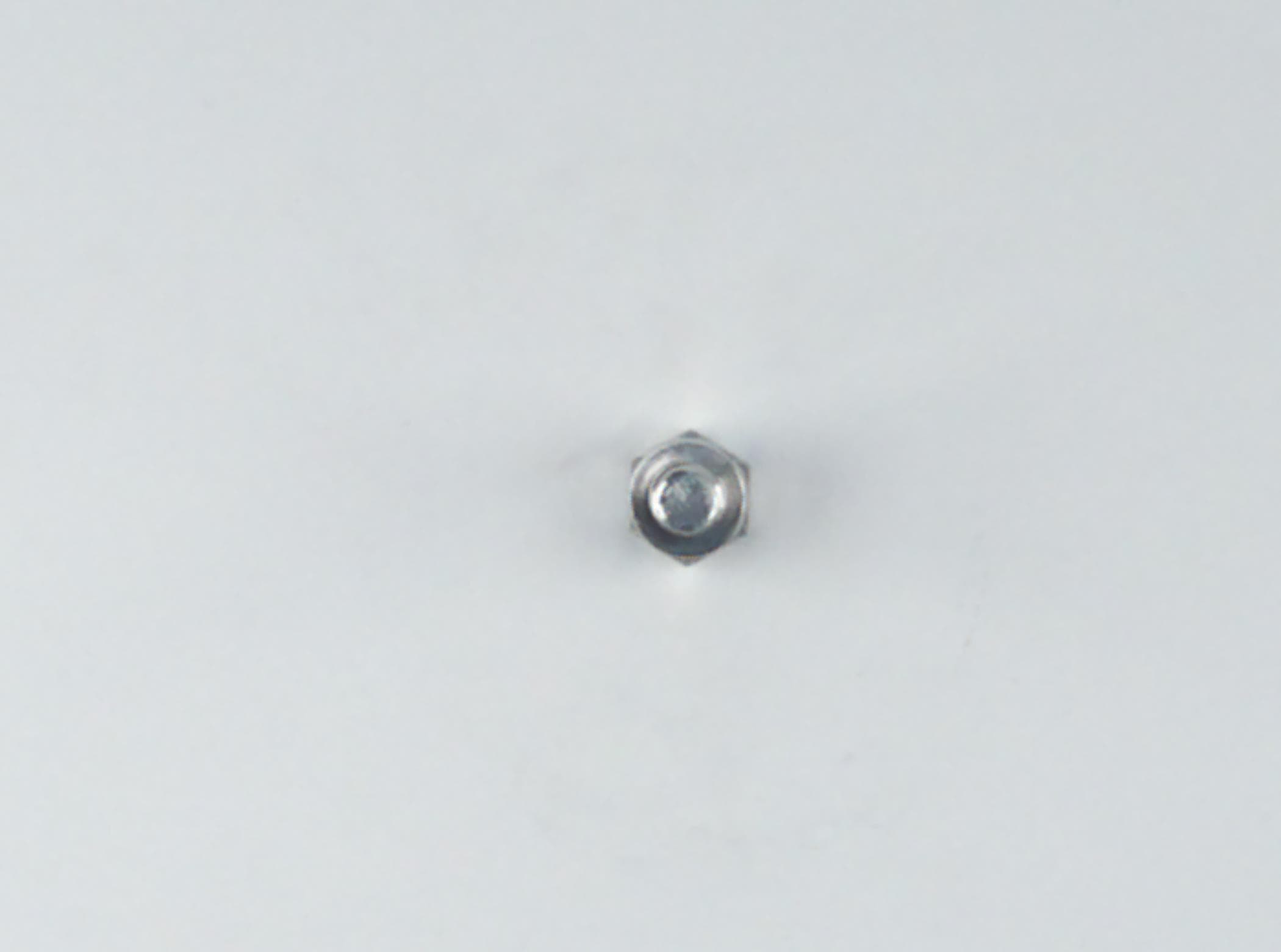 Bolt Hex W/ws