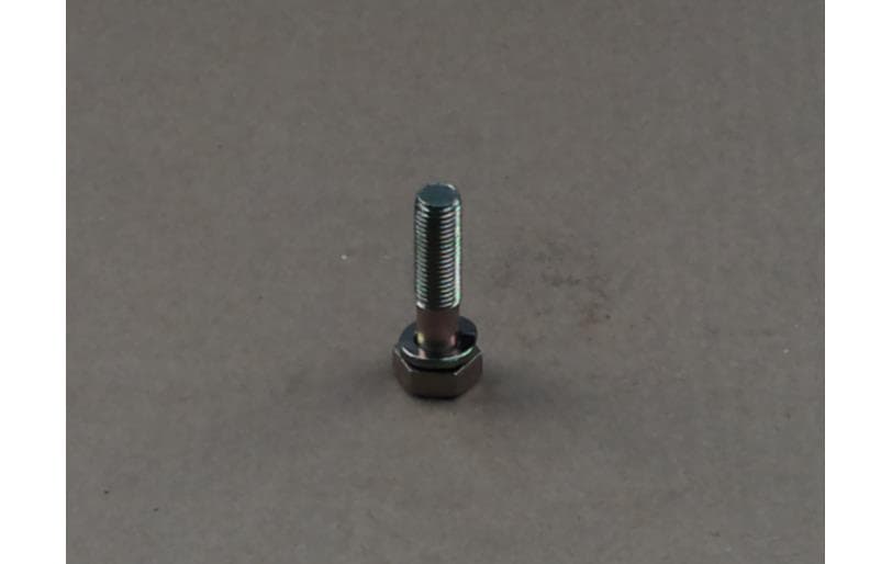 Bolt Hex W/ws