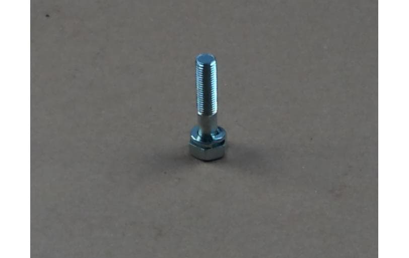 Bolt Hex W/ws