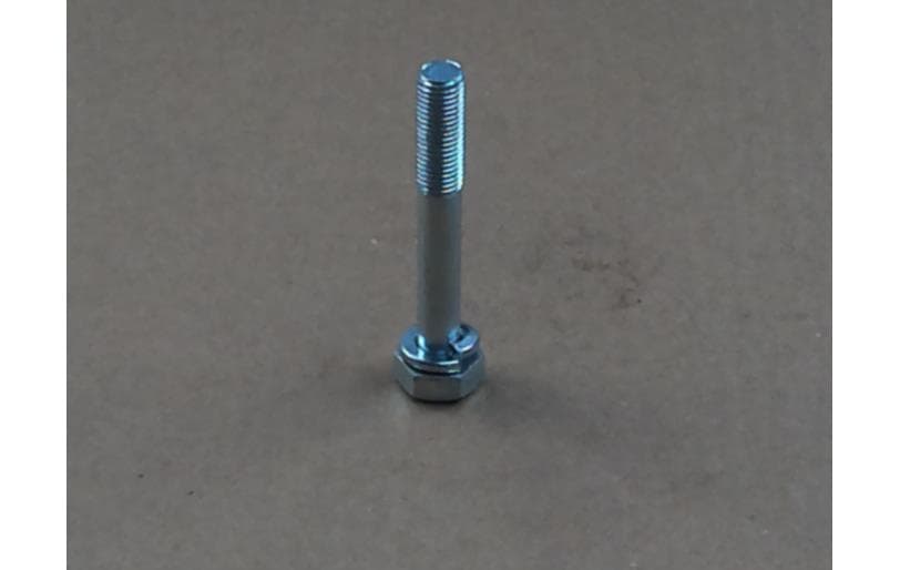 Bolt Hex W/ws