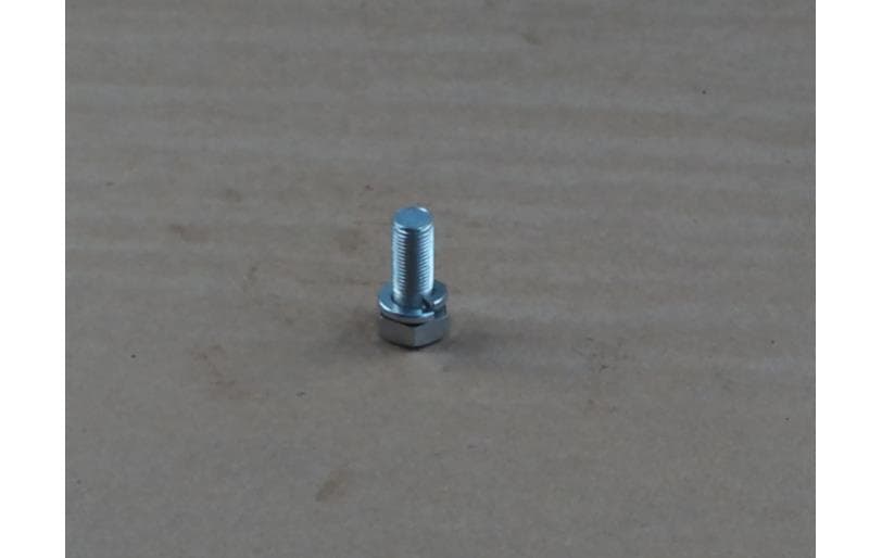 Bolt Hex W/ws