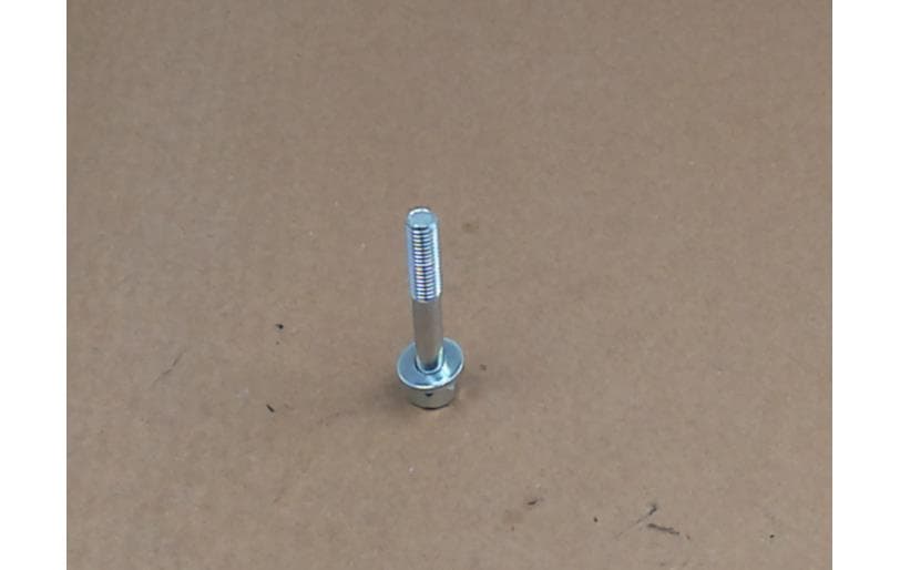 Bolt Hex W/ws