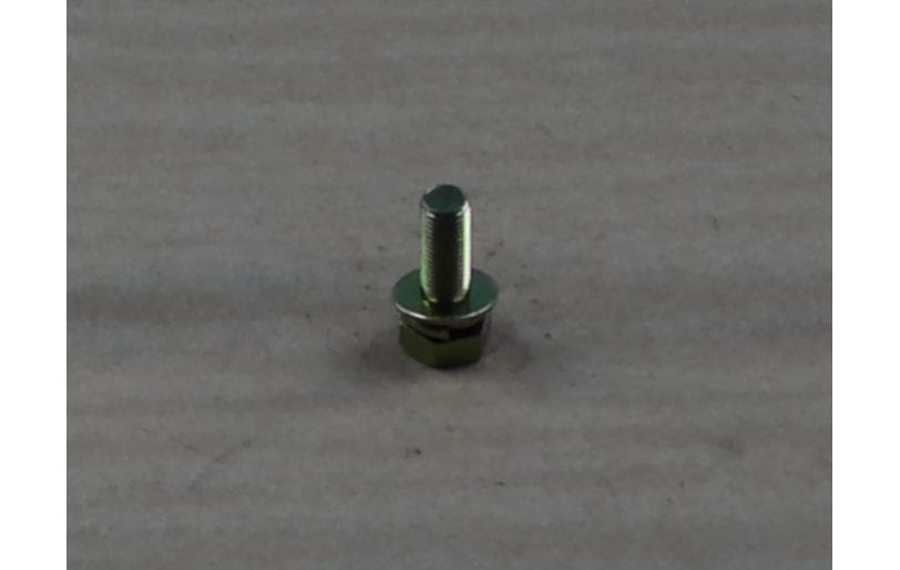 Bolt Hex W/ws