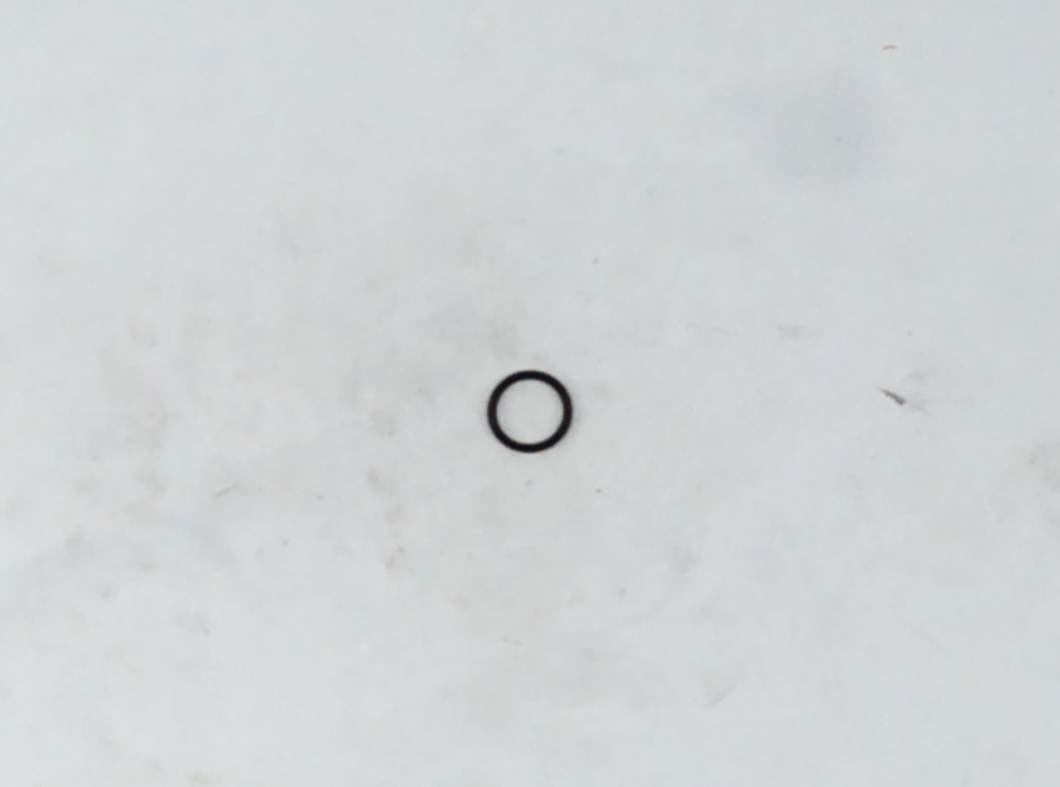 O Ring