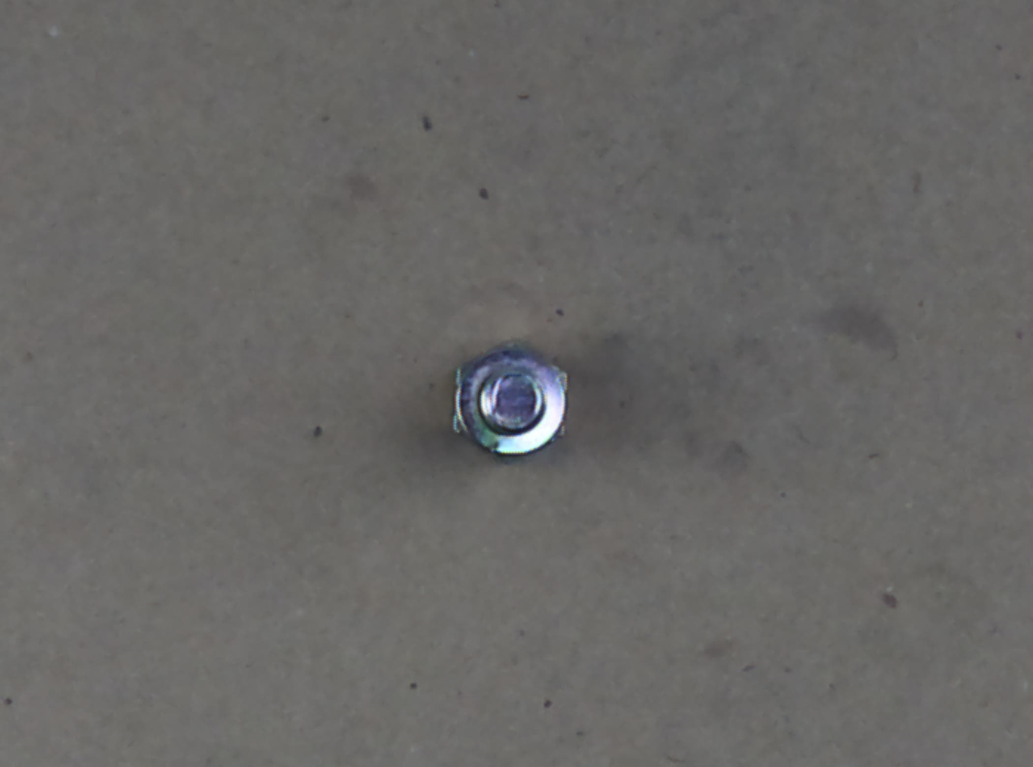 Bolt Hex W/ws