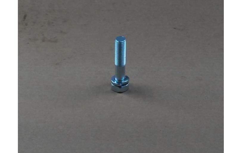 Bolt Hex W/ws