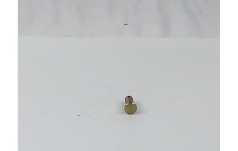 Pin Head
