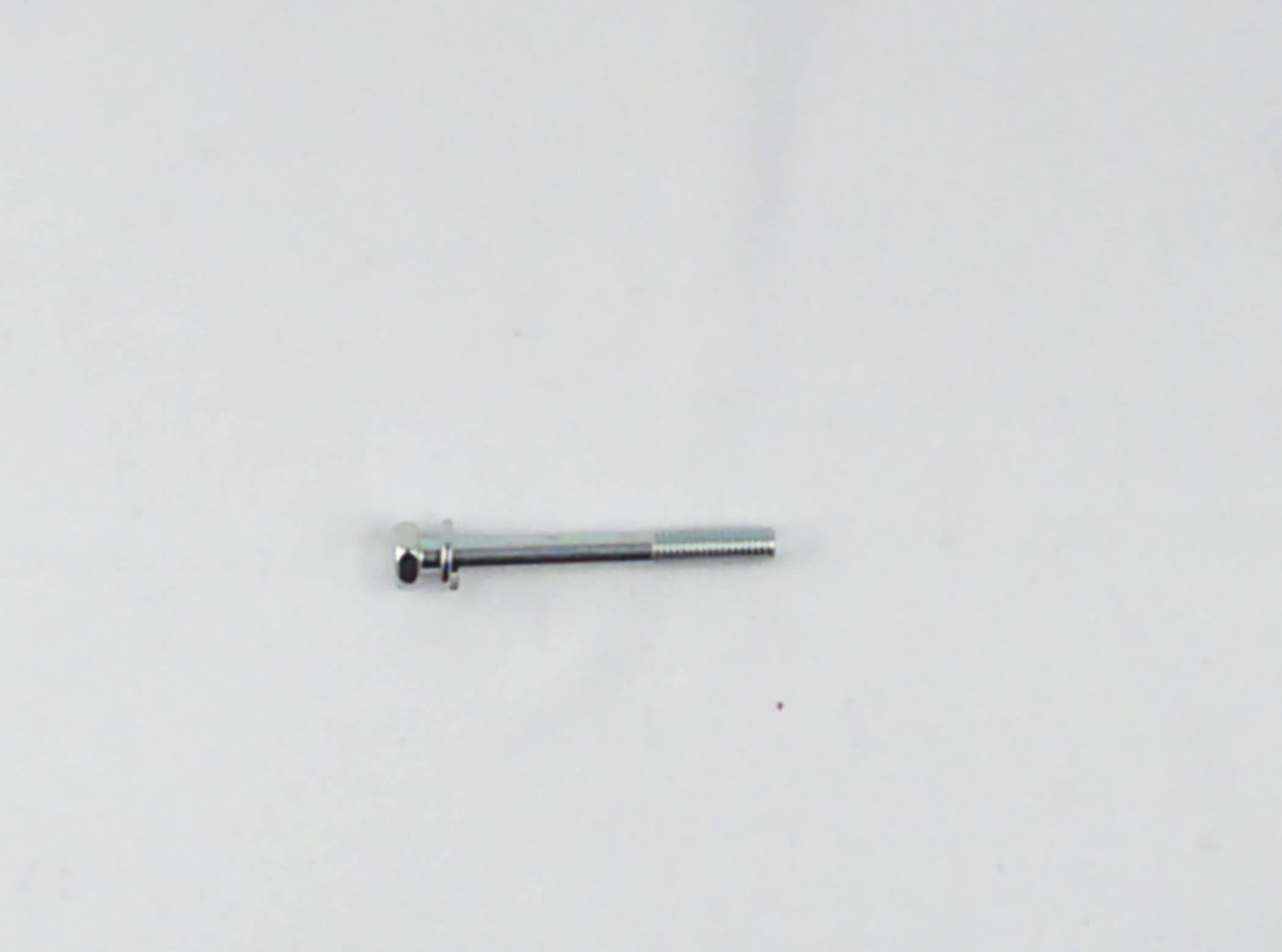 Bolt Hex W/ws