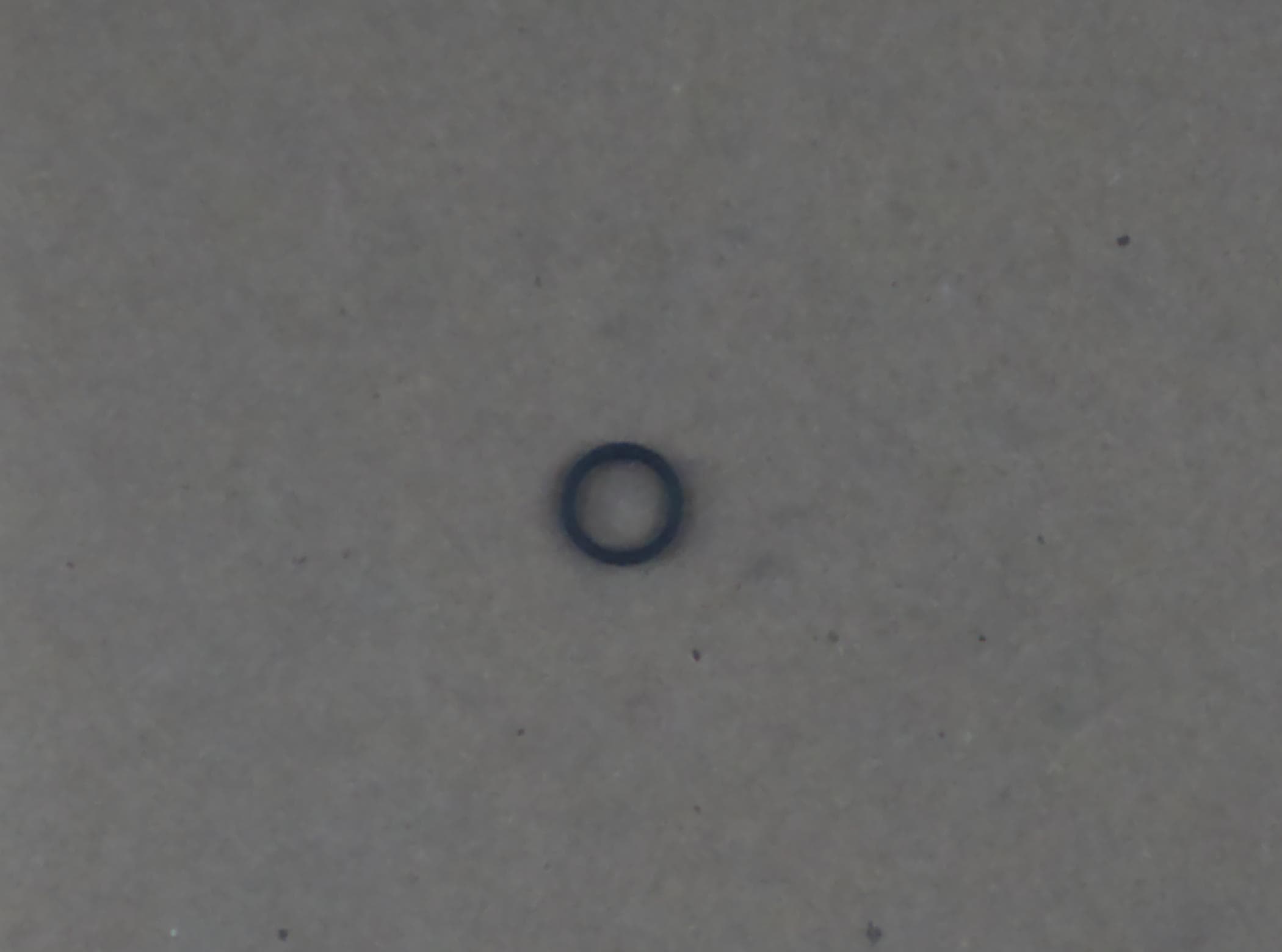 Ring Seal