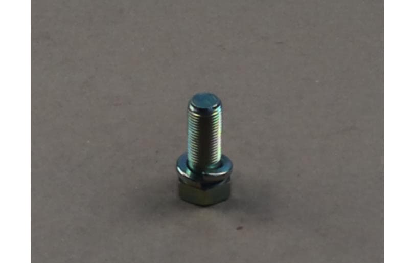 Bolt Hex W/ws