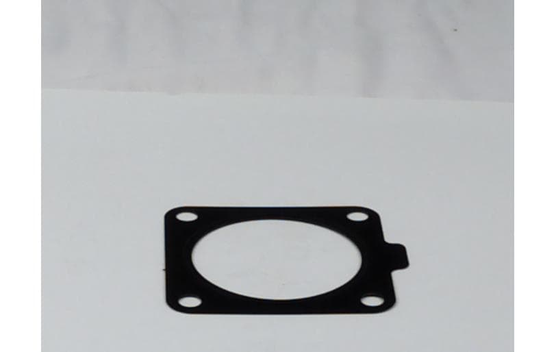 Gasket Acv