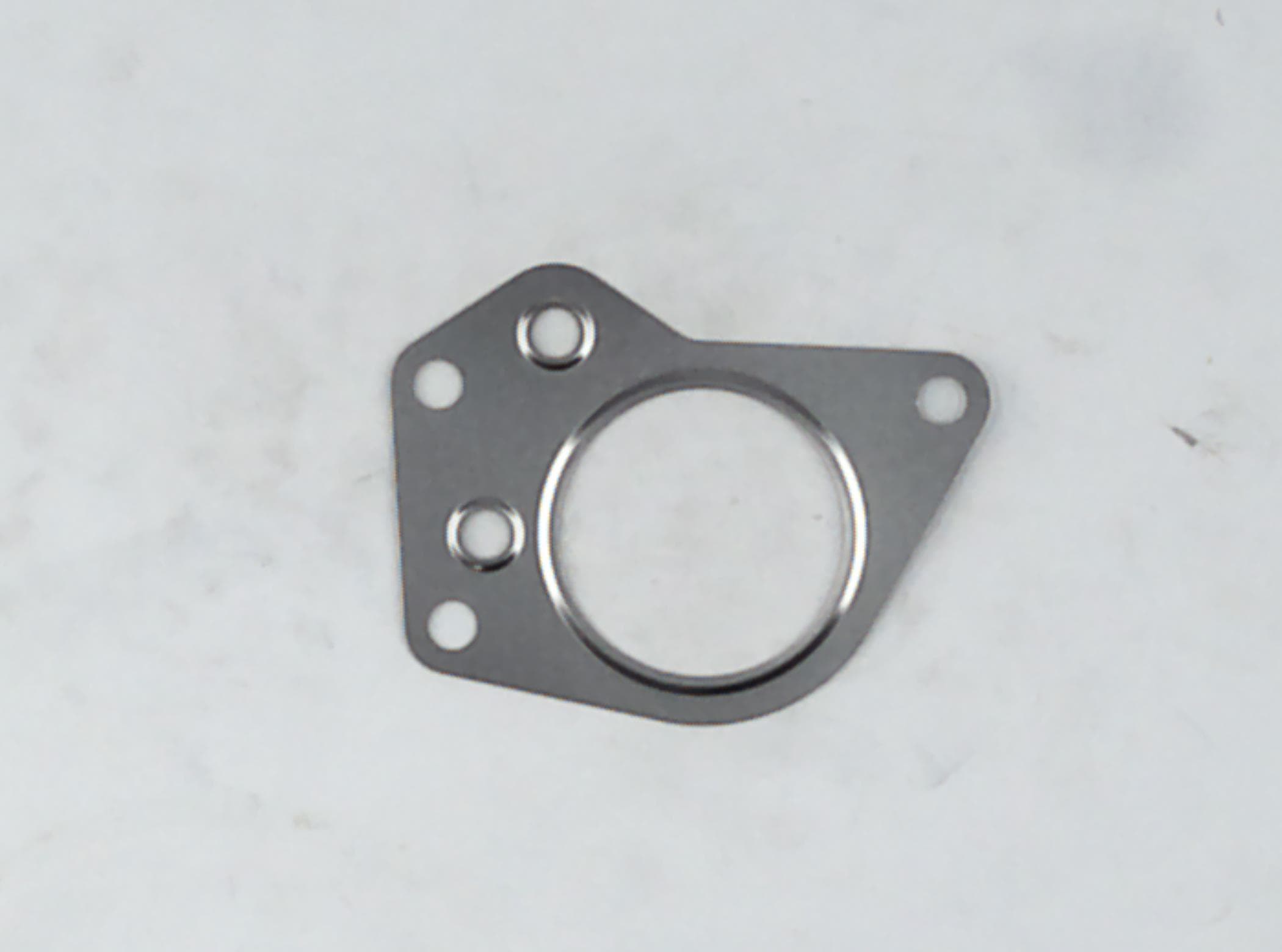Gasket Egr Valve