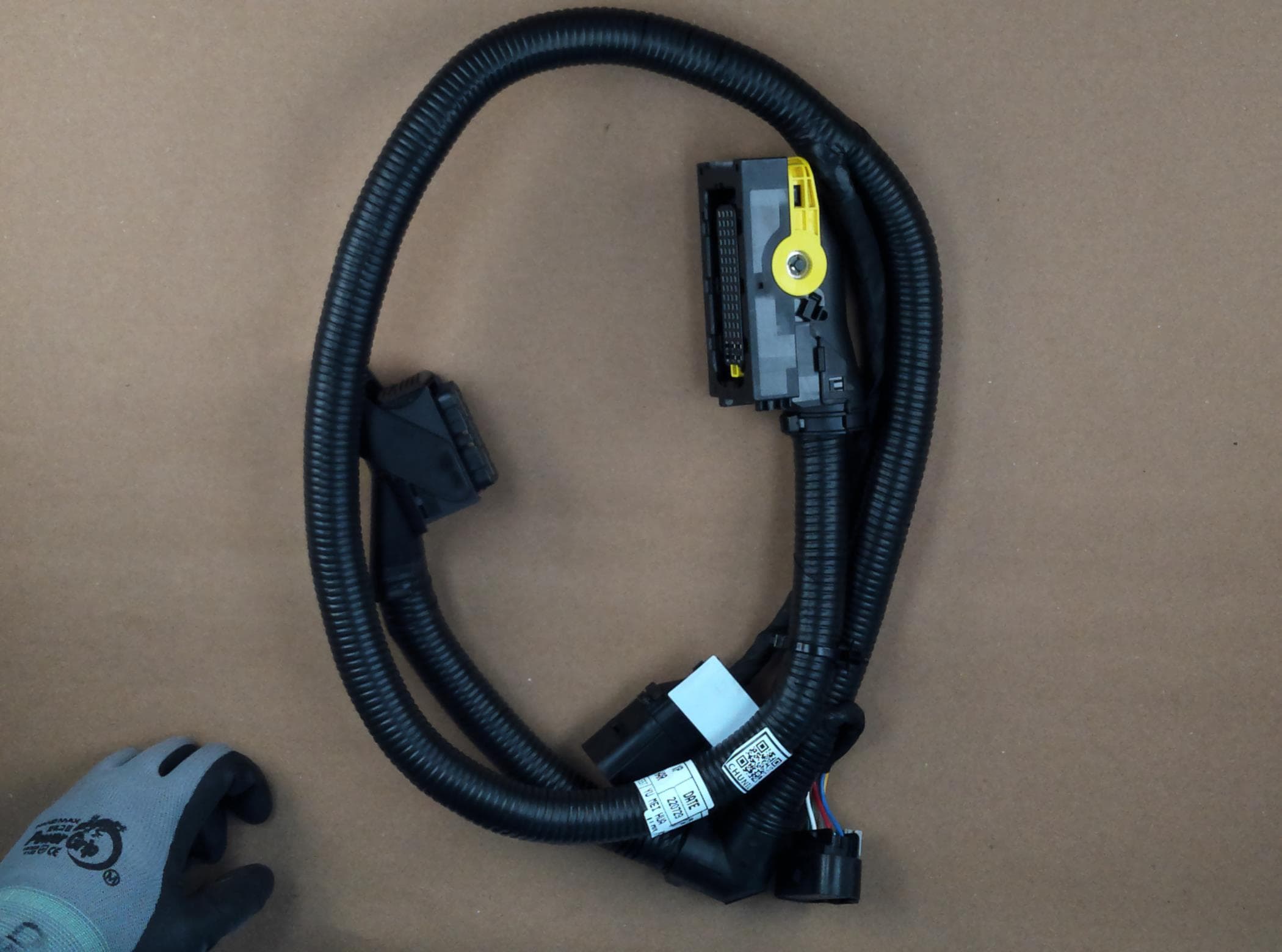 Harness