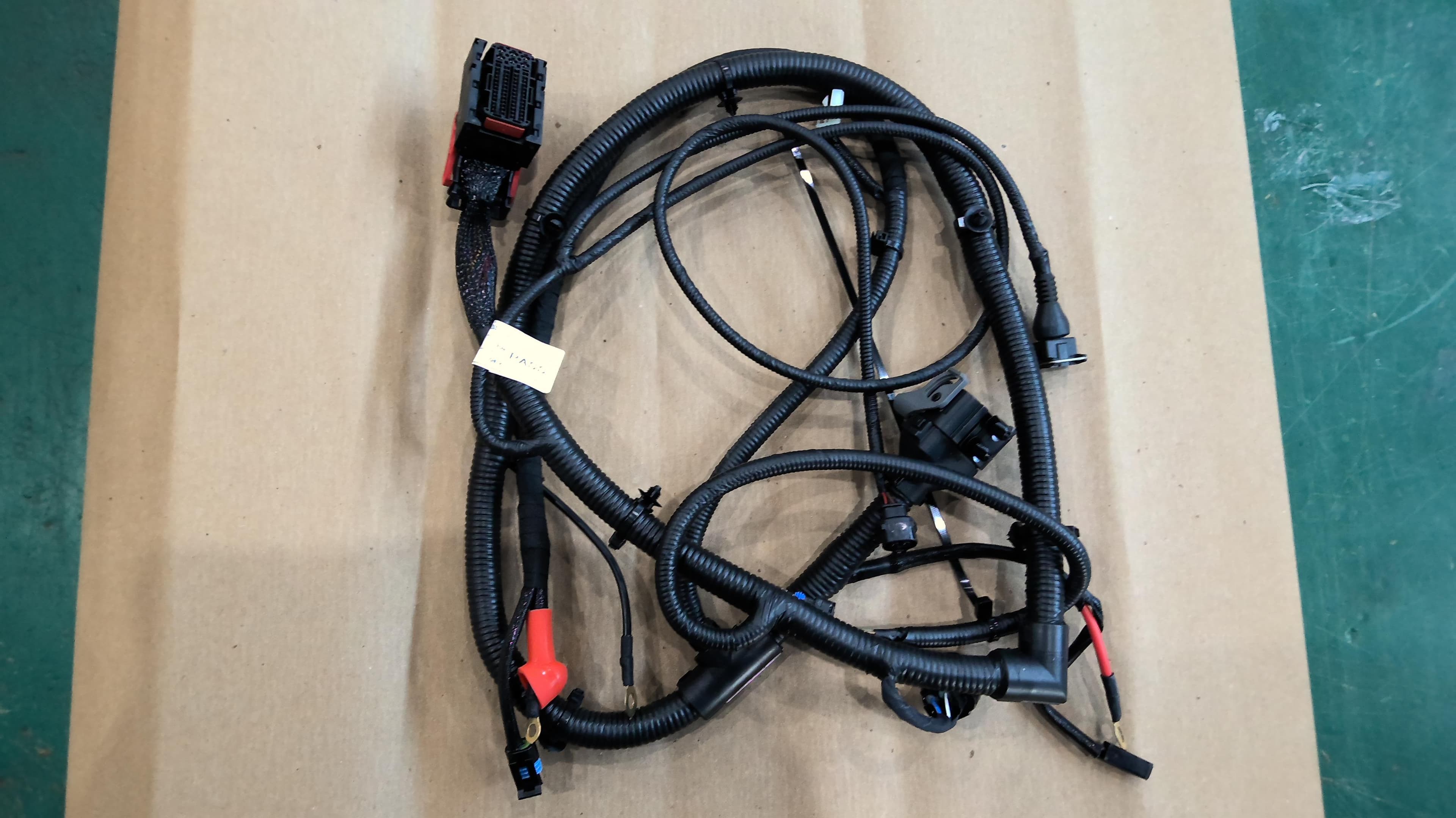 Harness