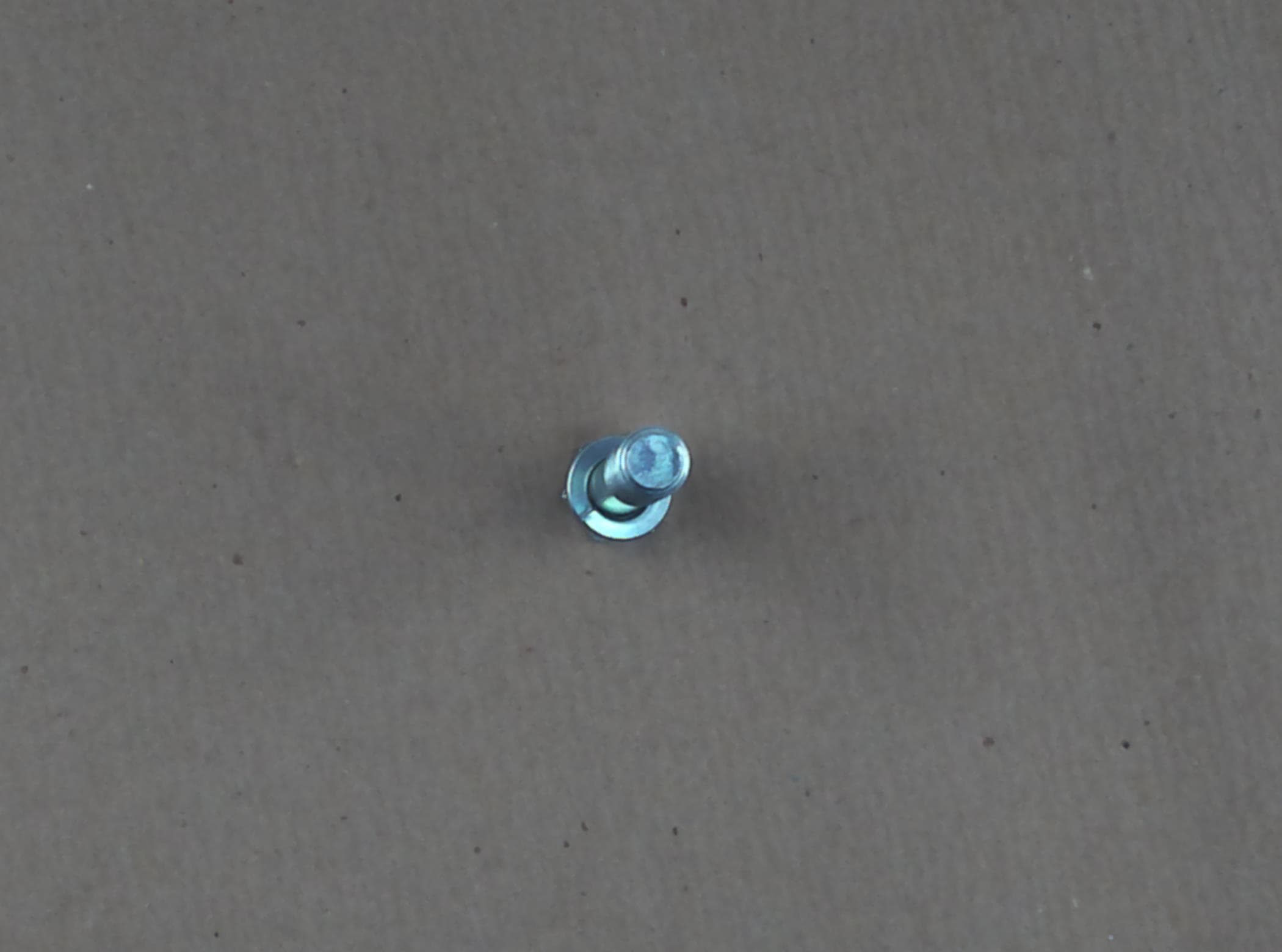 Bolt Hex W/ws S153141243