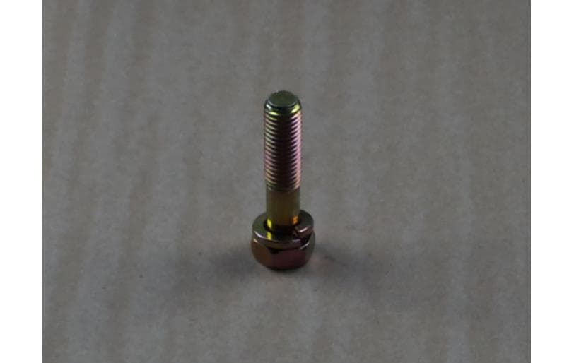 Bolt Hex W/ws