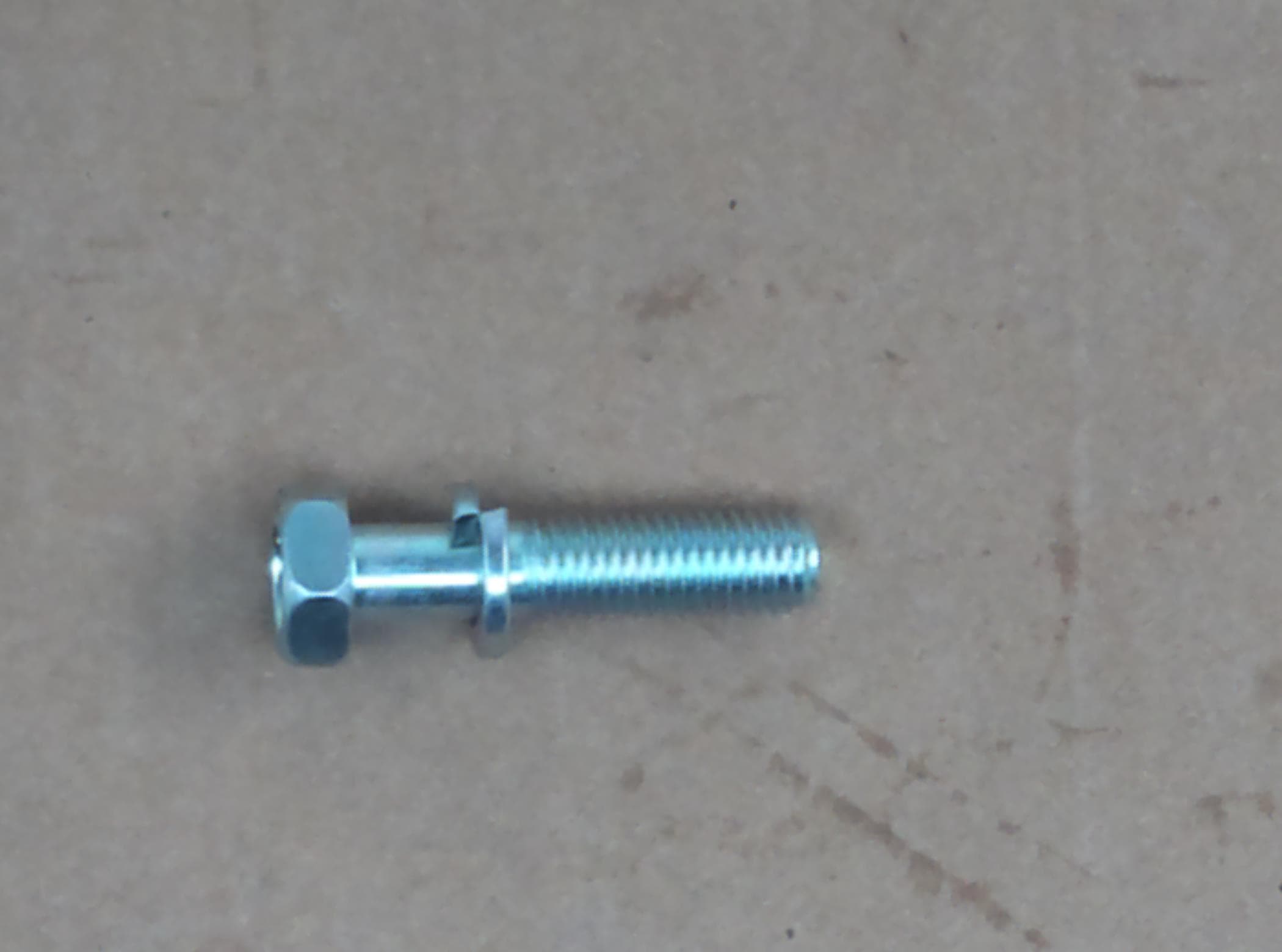 Bolt Hex W/ws