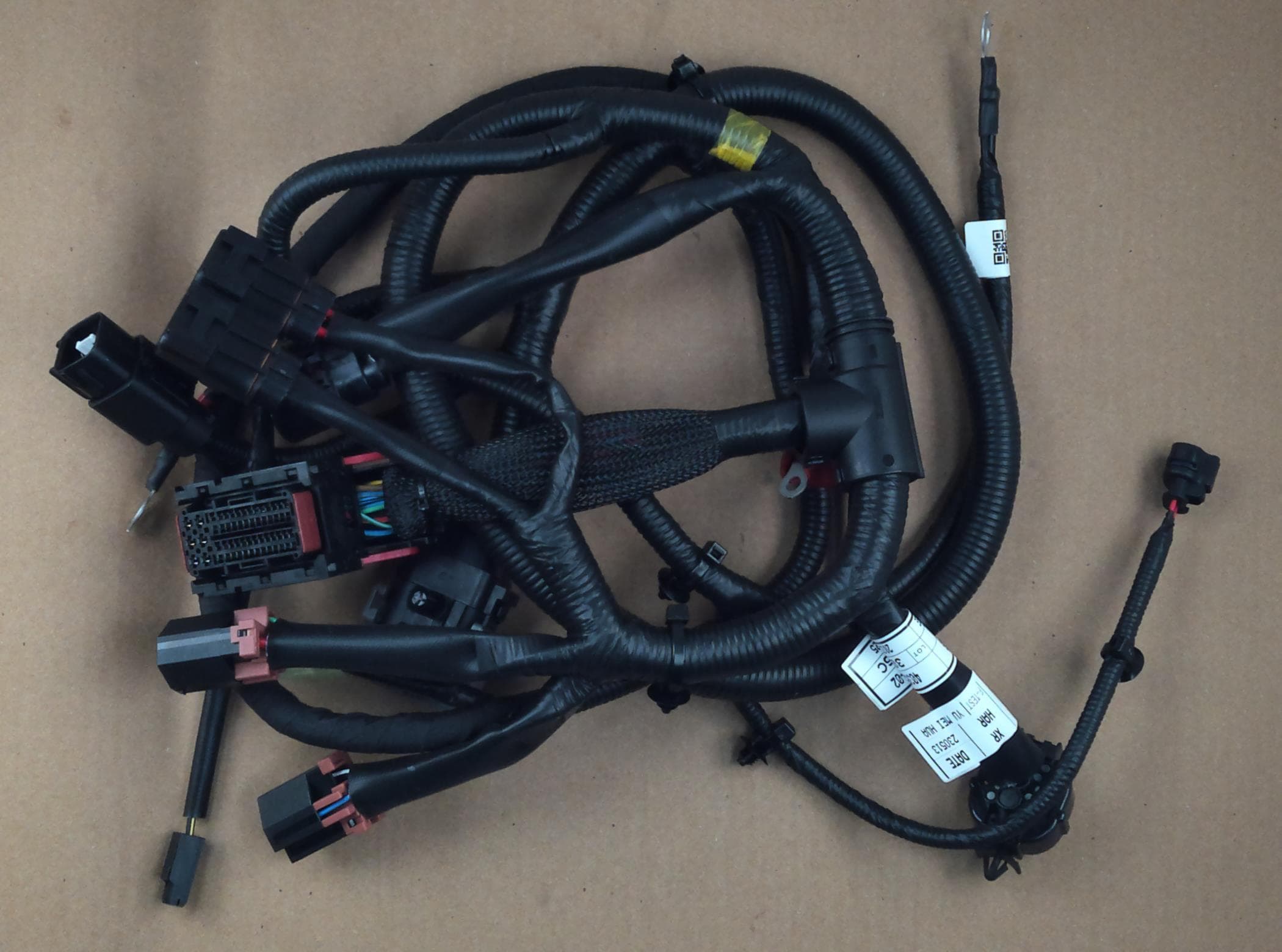 Harness