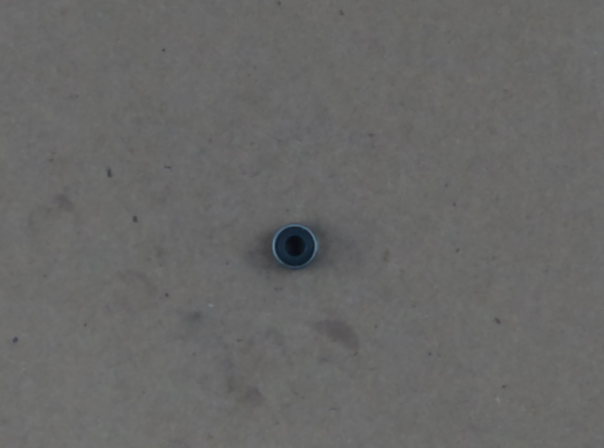 Valve Ste Yanmar Seal