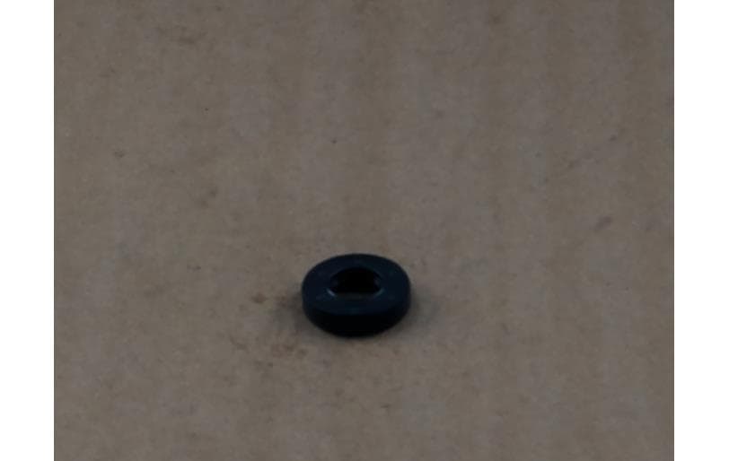 Seal Oil