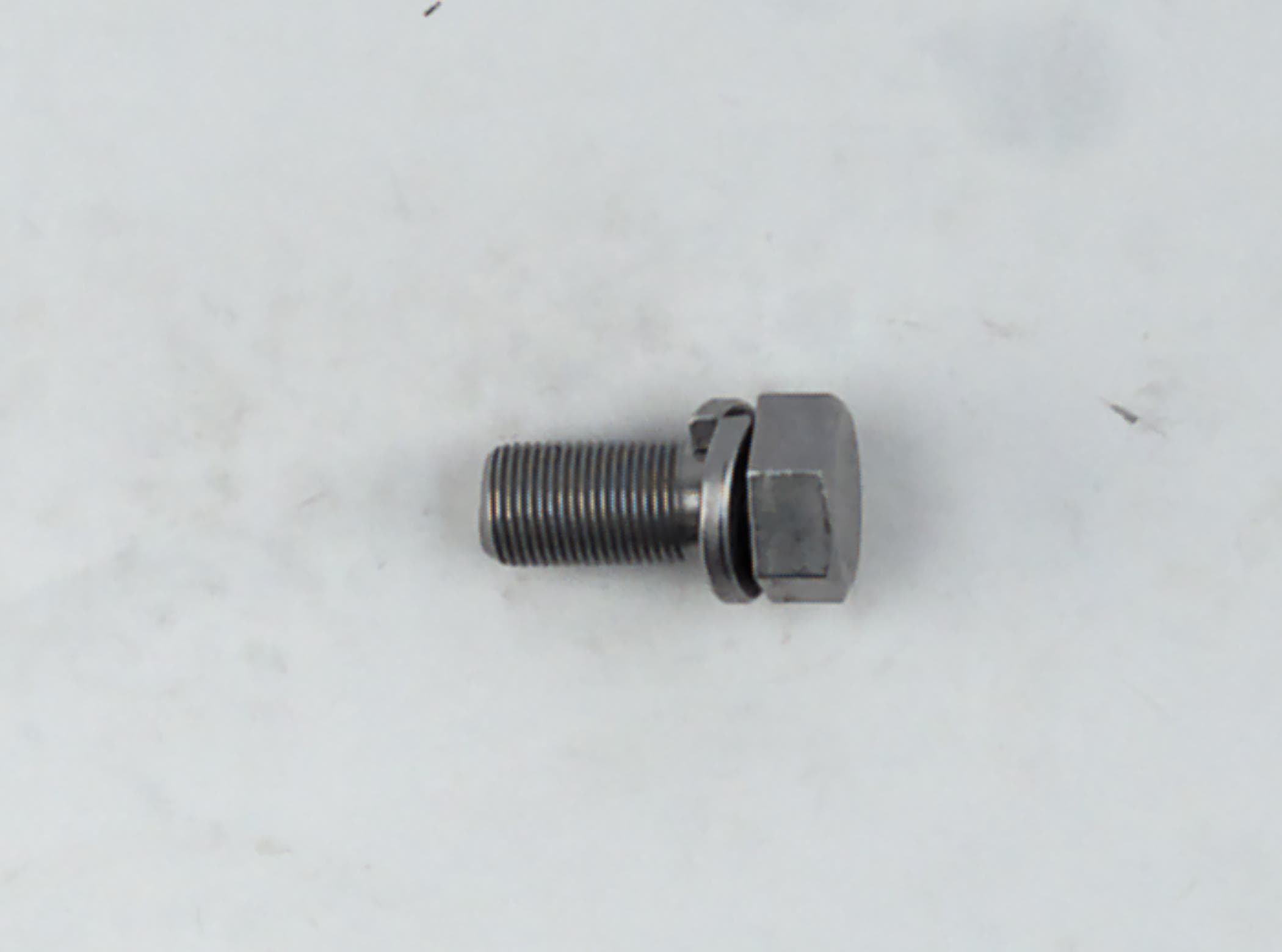 Bolt Hex W/ws