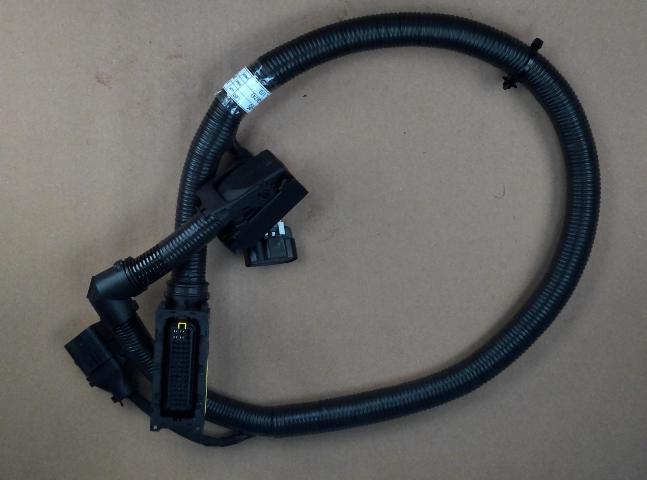 Harness Ecu2eg(74) Trg730