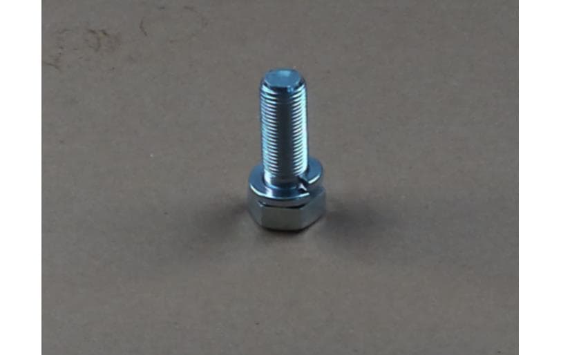 Bolt Hex W/ws