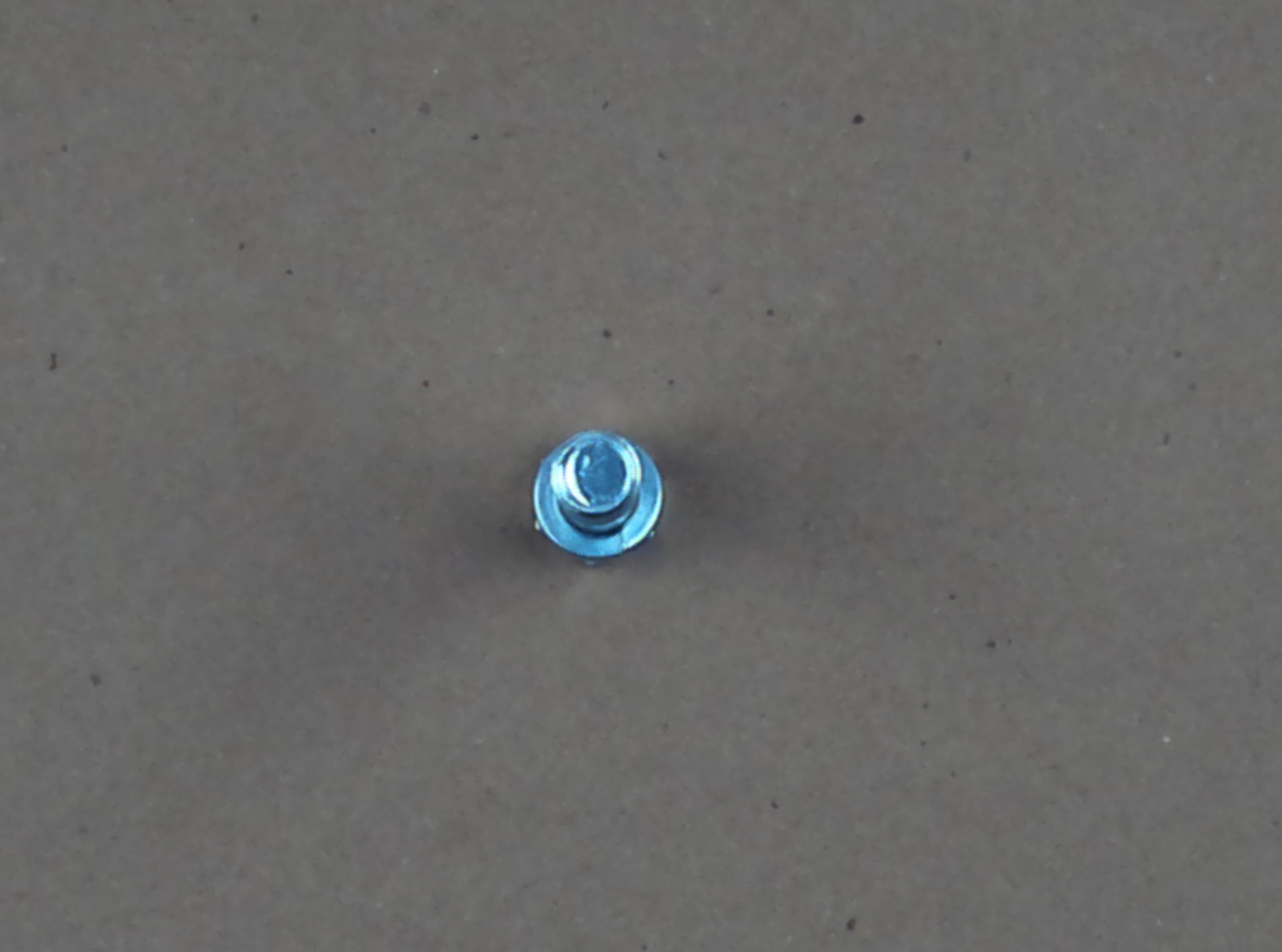 Bolt Hex W/ws