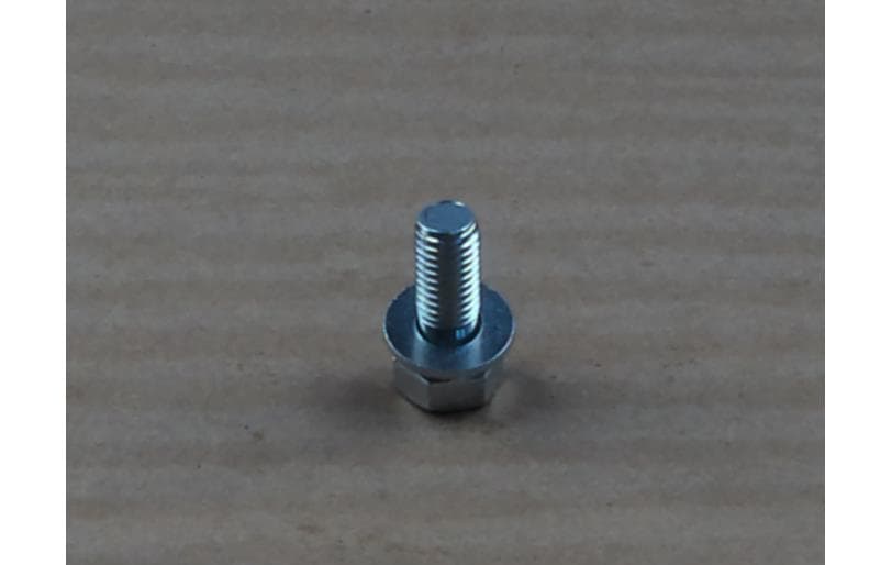 Bolt Hex W/ws