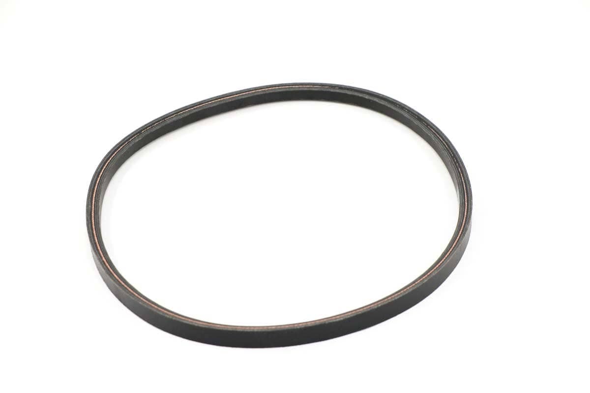 Belt-B44 Raw Edge