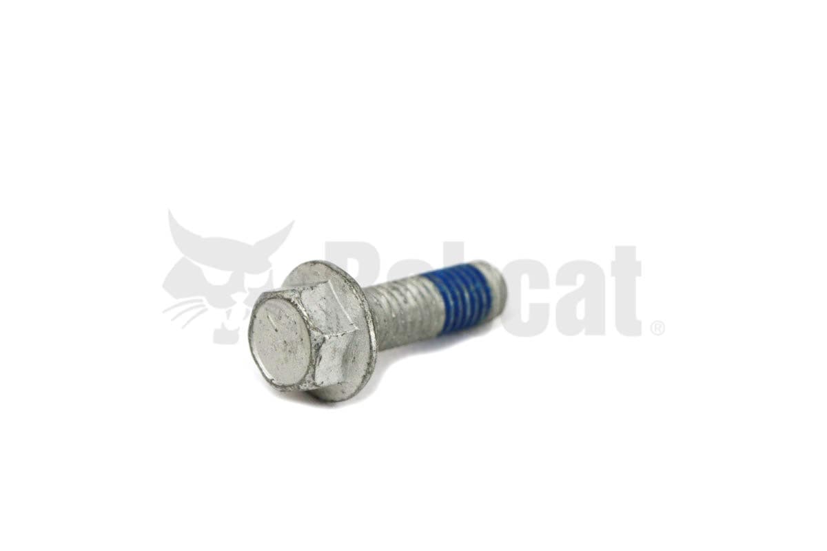 Screw Flgd Hex Cap