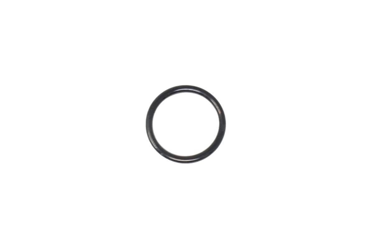 Valve O-Ring