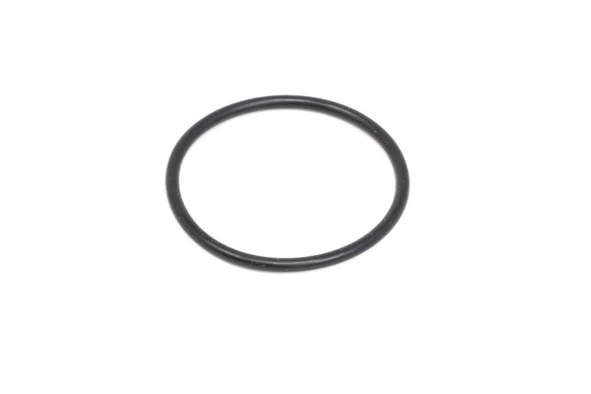 Valve O-Ring