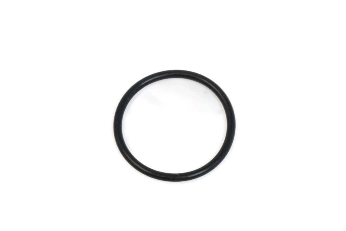 Valve O-Ring
