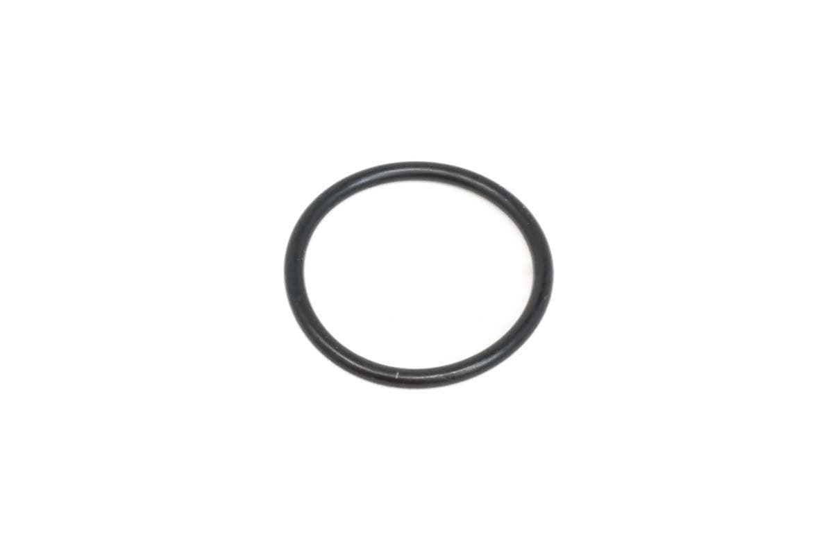 Valve O-Ring