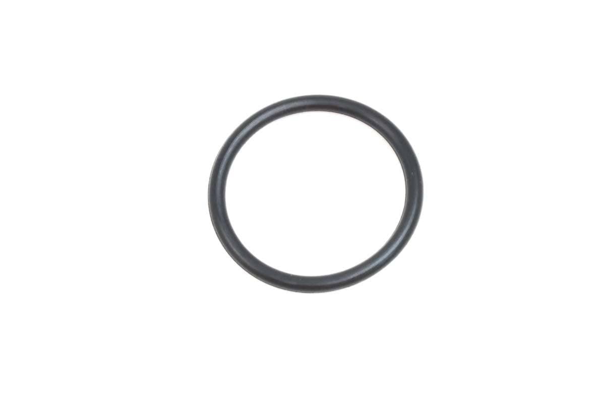 Valve O-Ring
