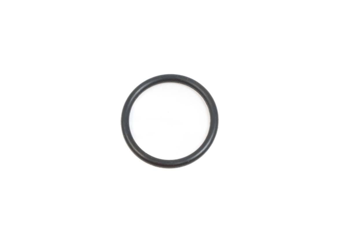 Valve O-Ring