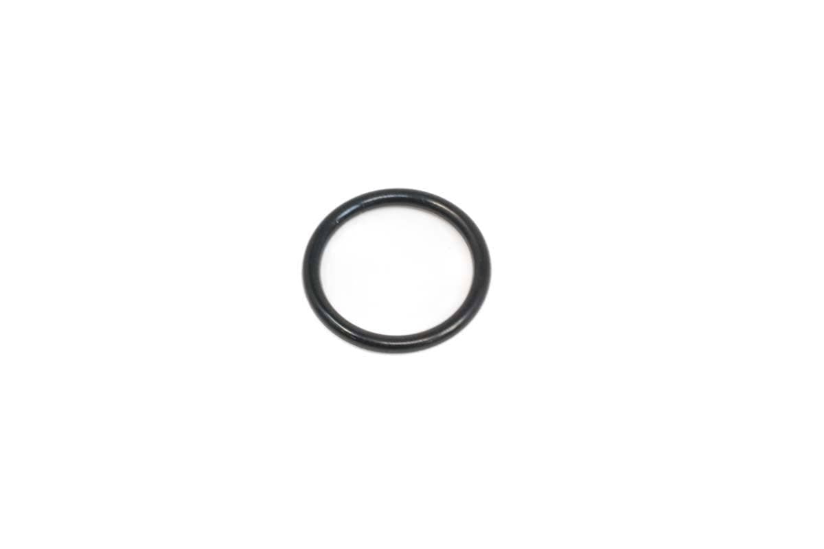 Valve O-Ring